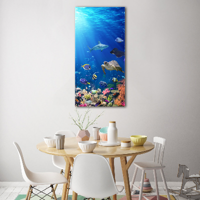 Print on acrylic Coral reef