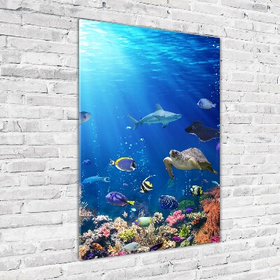 Print on acrylic Coral reef