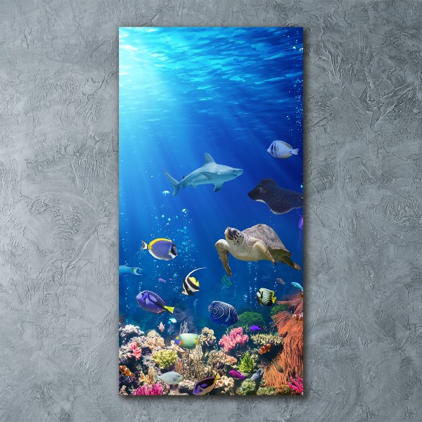 Print on acrylic Coral reef