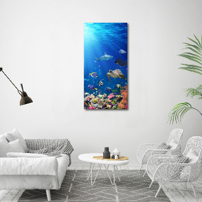 Print on acrylic Coral reef