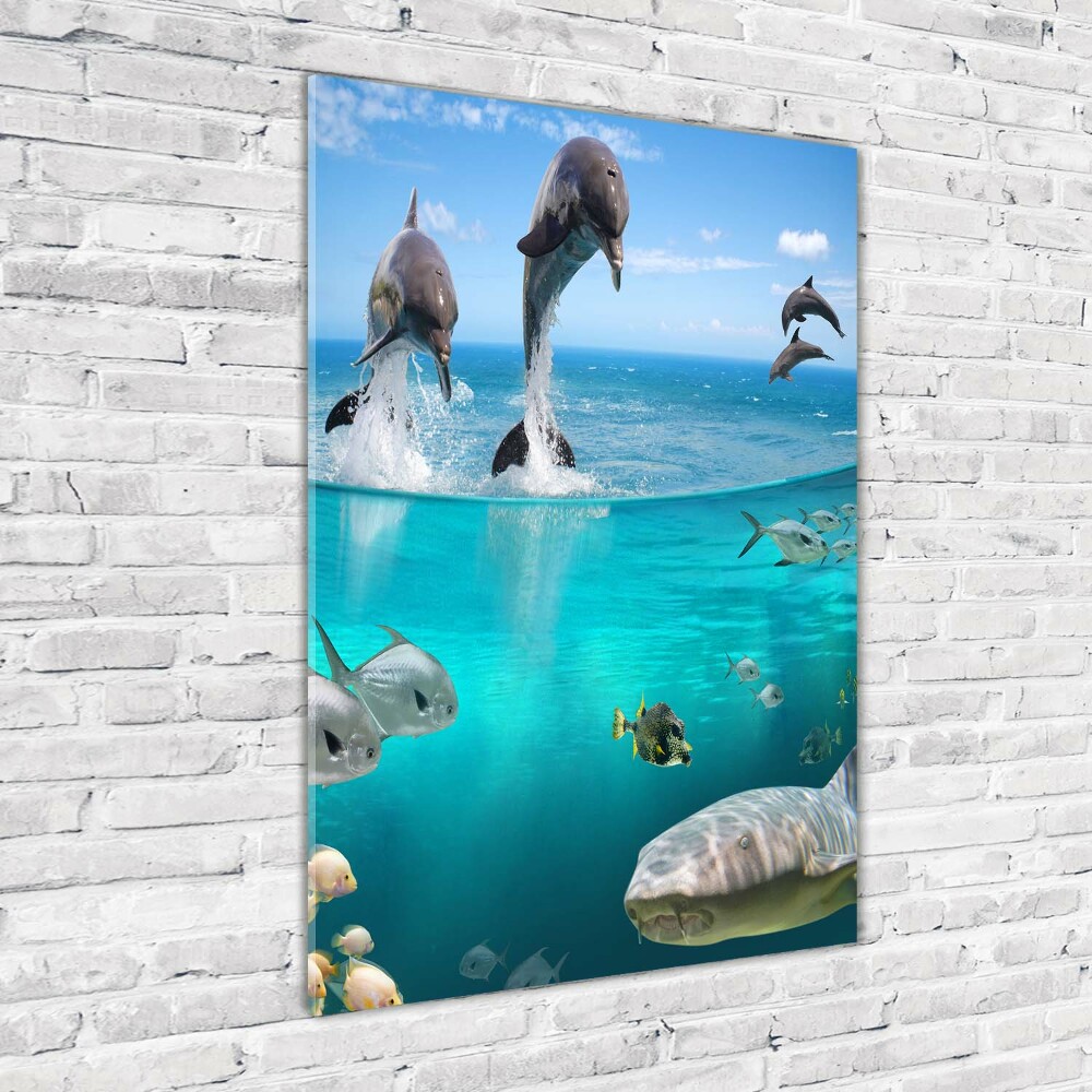 Acrylic wall art Underwater world