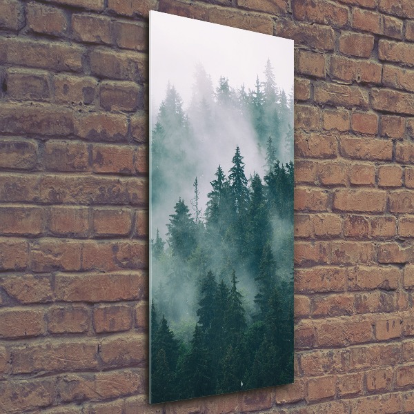 Acrylic wall art Fog over the forest