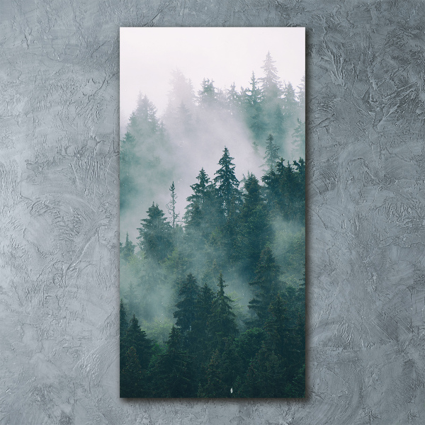 Acrylic wall art Fog over the forest