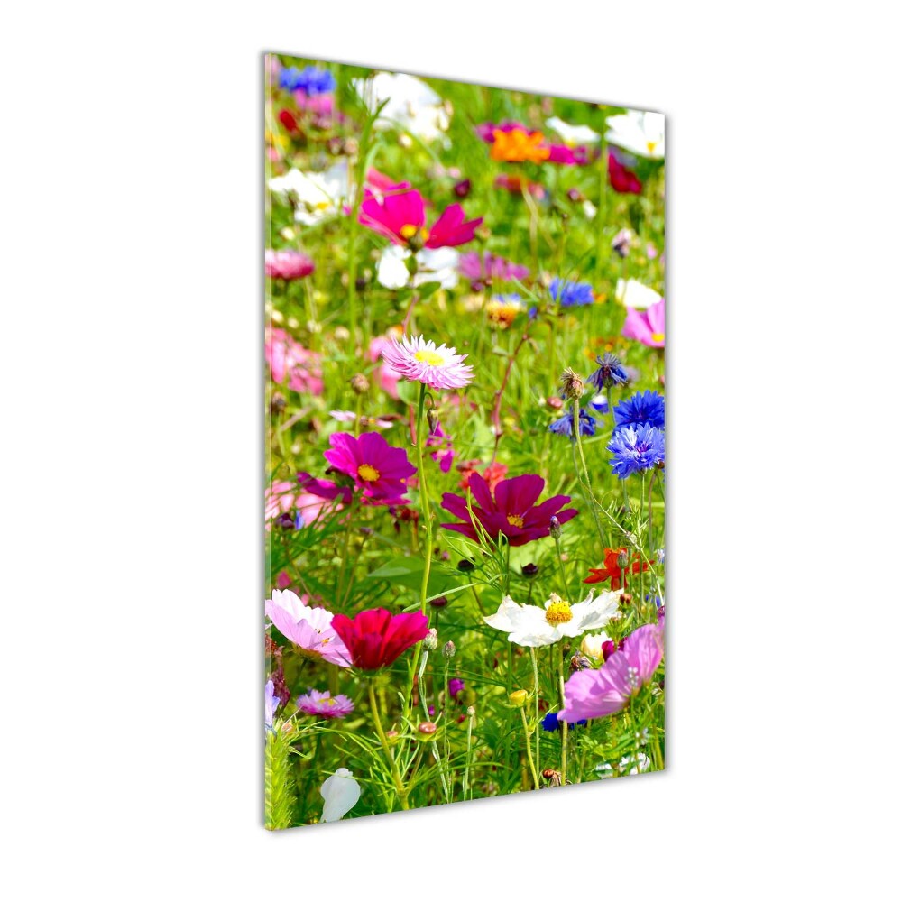 Acrylic wall art Field flowers