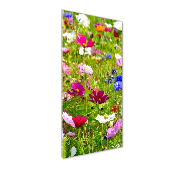 Acrylic wall art Field flowers