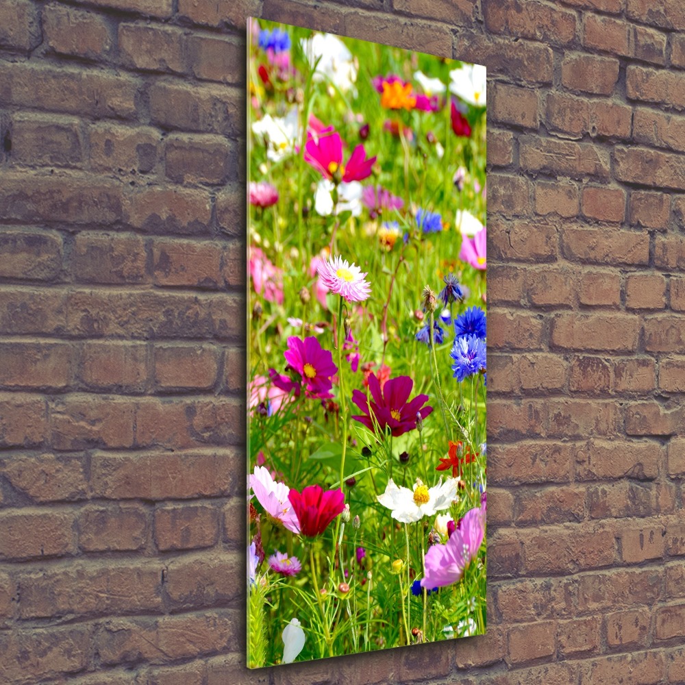 Acrylic wall art Field flowers