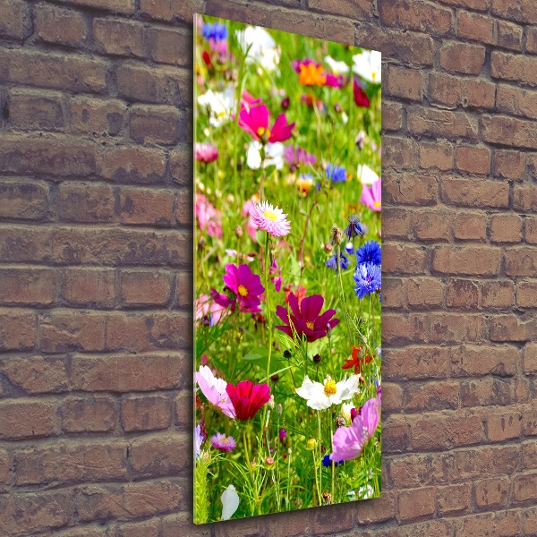 Acrylic wall art Field flowers