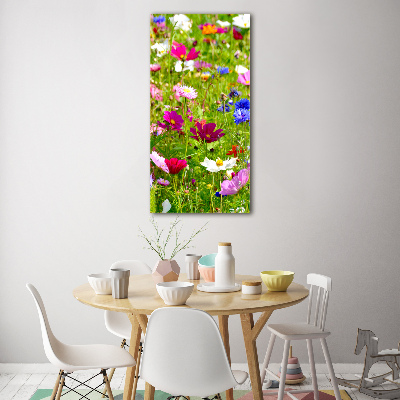 Acrylic wall art Field flowers