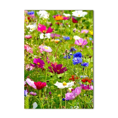 Acrylic wall art Field flowers