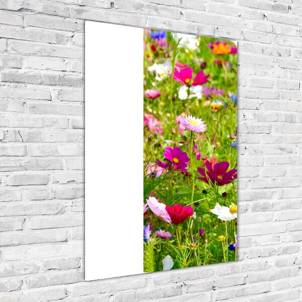 Acrylic wall art Field flowers