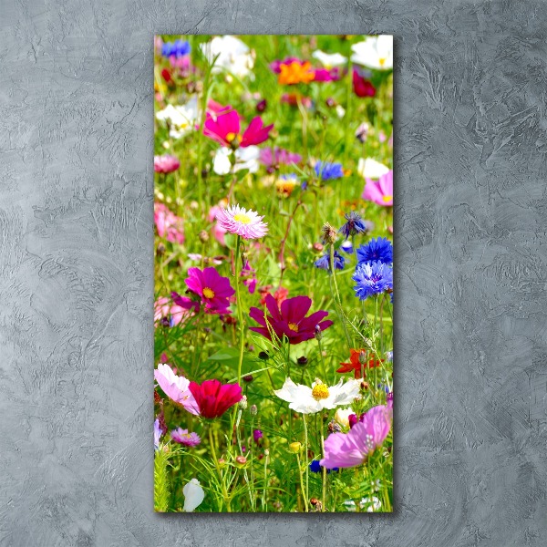 Acrylic wall art Field flowers