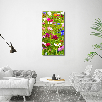 Acrylic wall art Field flowers