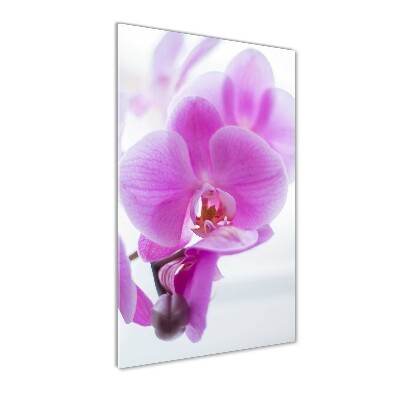 Print on acrylic Pink orchid