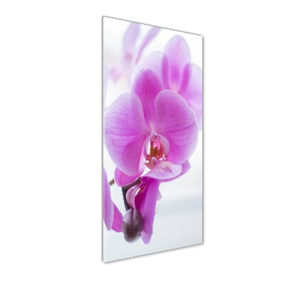 Print on acrylic Pink orchid