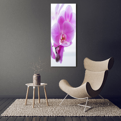 Print on acrylic Pink orchid