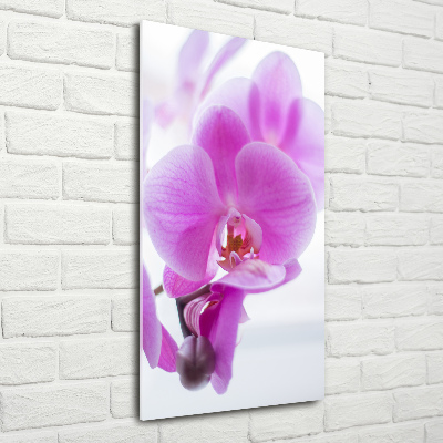 Print on acrylic Pink orchid