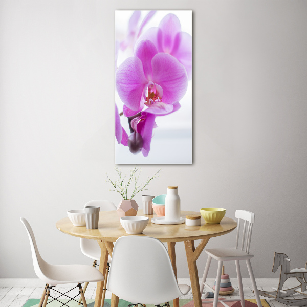 Print on acrylic Pink orchid