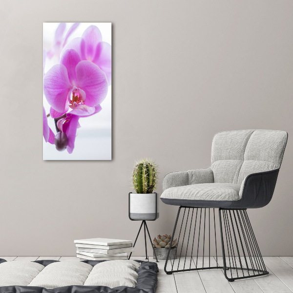 Print on acrylic Pink orchid