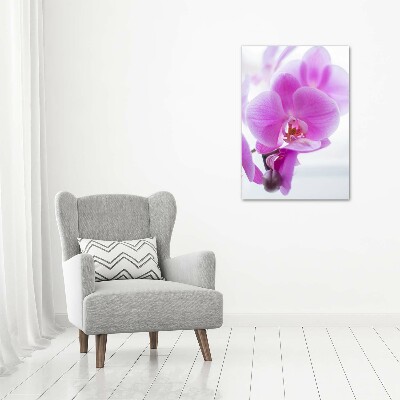 Print on acrylic Pink orchid