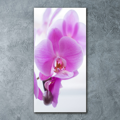 Print on acrylic Pink orchid