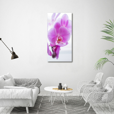 Print on acrylic Pink orchid