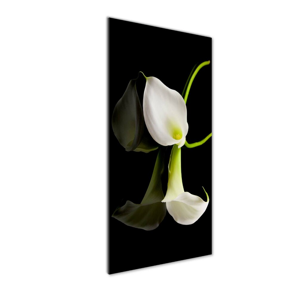 Wall art acrylic White cal