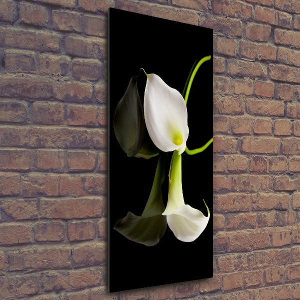 Wall art acrylic White cal