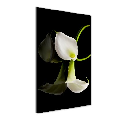 Wall art acrylic White cal