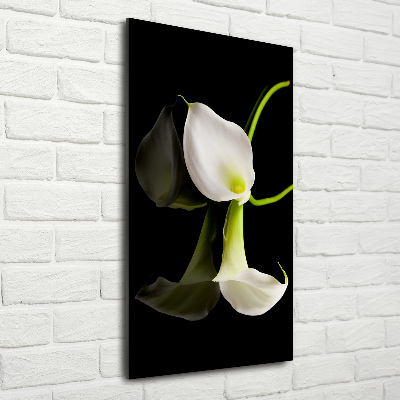 Wall art acrylic White cal