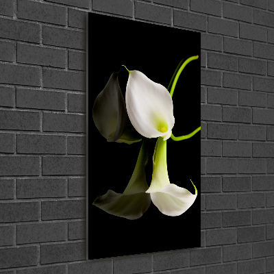 Wall art acrylic White cal