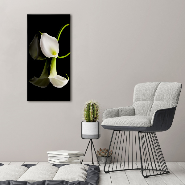 Wall art acrylic White cal