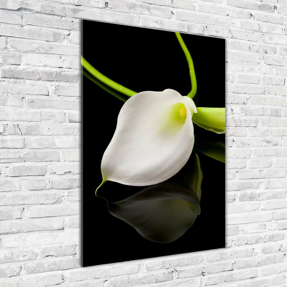 Wall art acrylic White cal