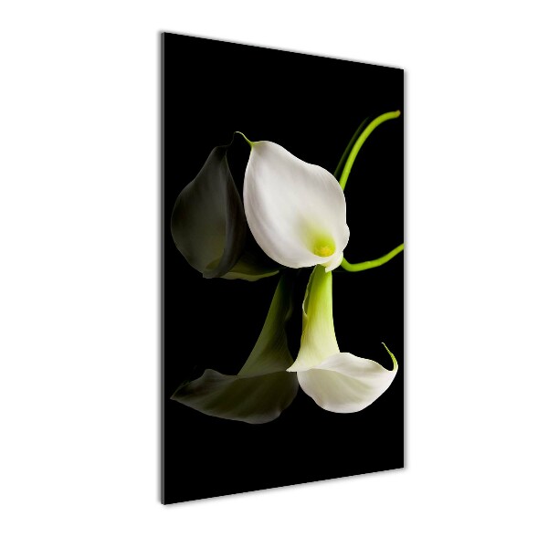 Wall art acrylic White cal