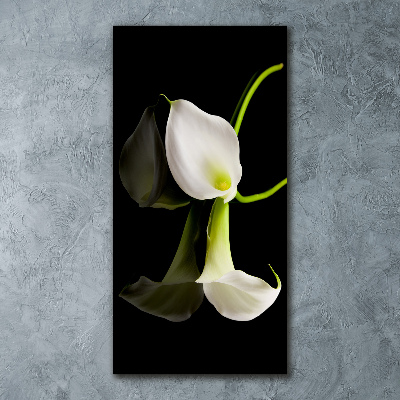 Wall art acrylic White cal