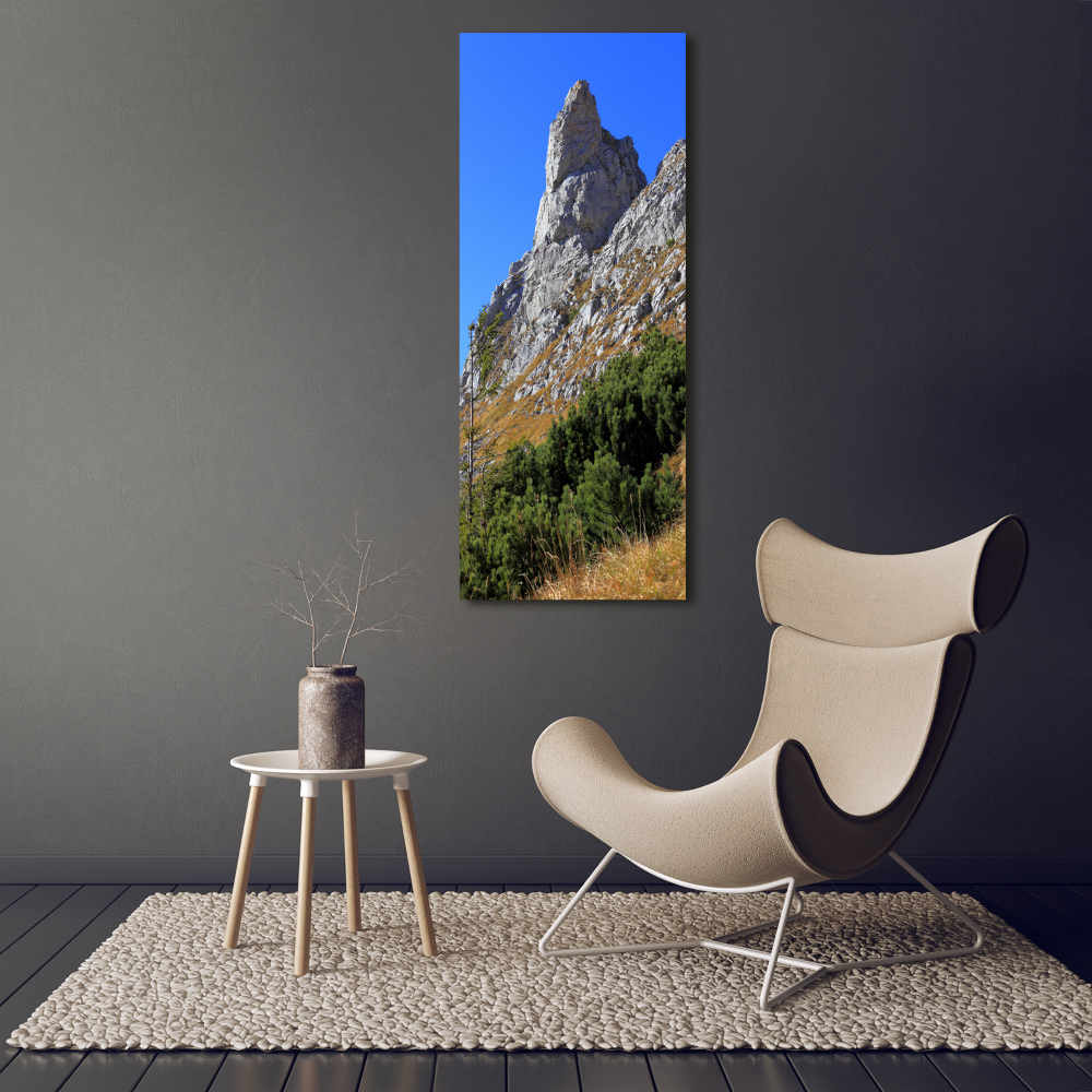 Wall art acrylic Little Giewont Tatry