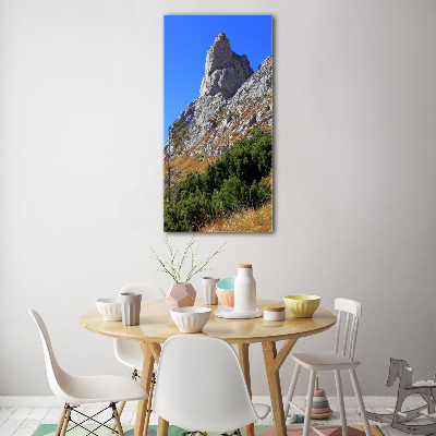 Wall art acrylic Little Giewont Tatry