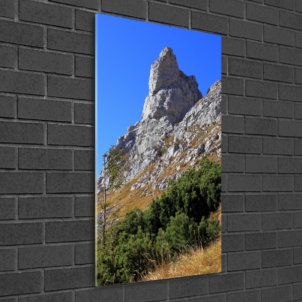 Wall art acrylic Little Giewont Tatry