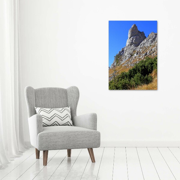 Wall art acrylic Little Giewont Tatry