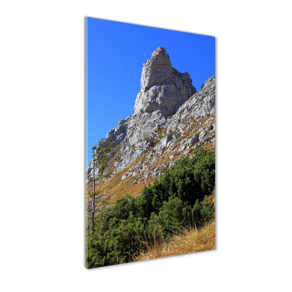 Wall art acrylic Little Giewont Tatry