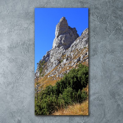 Wall art acrylic Little Giewont Tatry