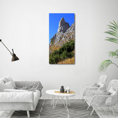 Wall art acrylic Little Giewont Tatry