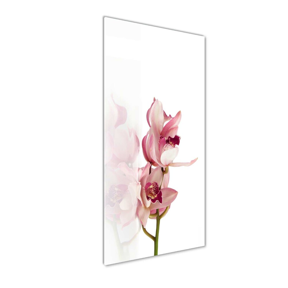 Print on acrylic Pink orchid