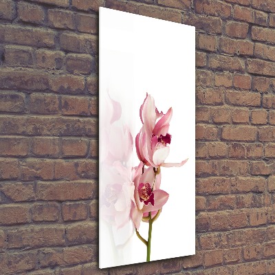 Print on acrylic Pink orchid