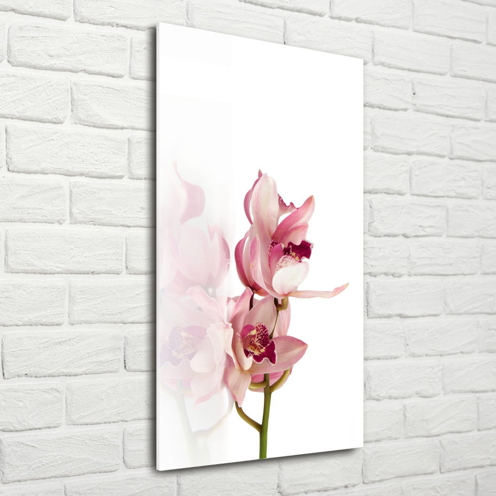 Print on acrylic Pink orchid