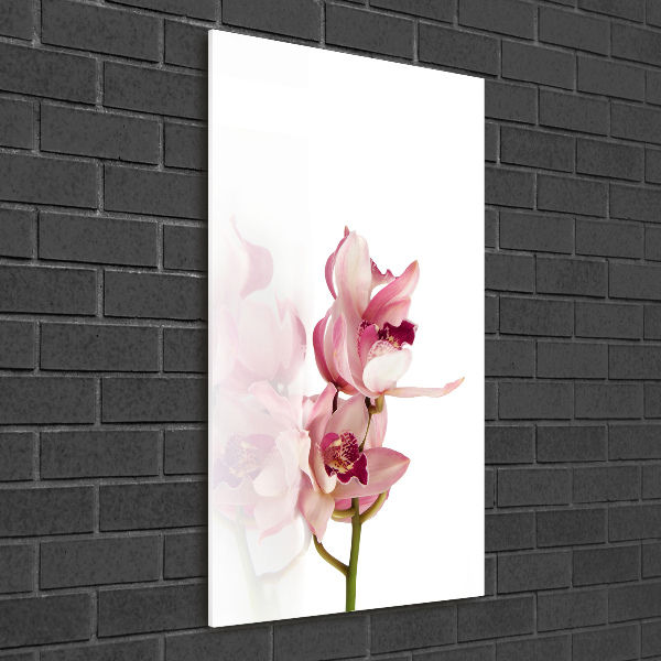 Print on acrylic Pink orchid