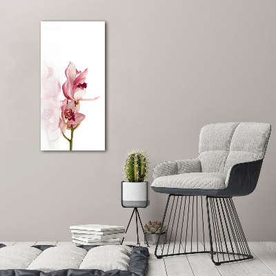 Print on acrylic Pink orchid