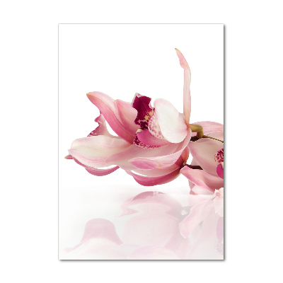 Print on acrylic Pink orchid