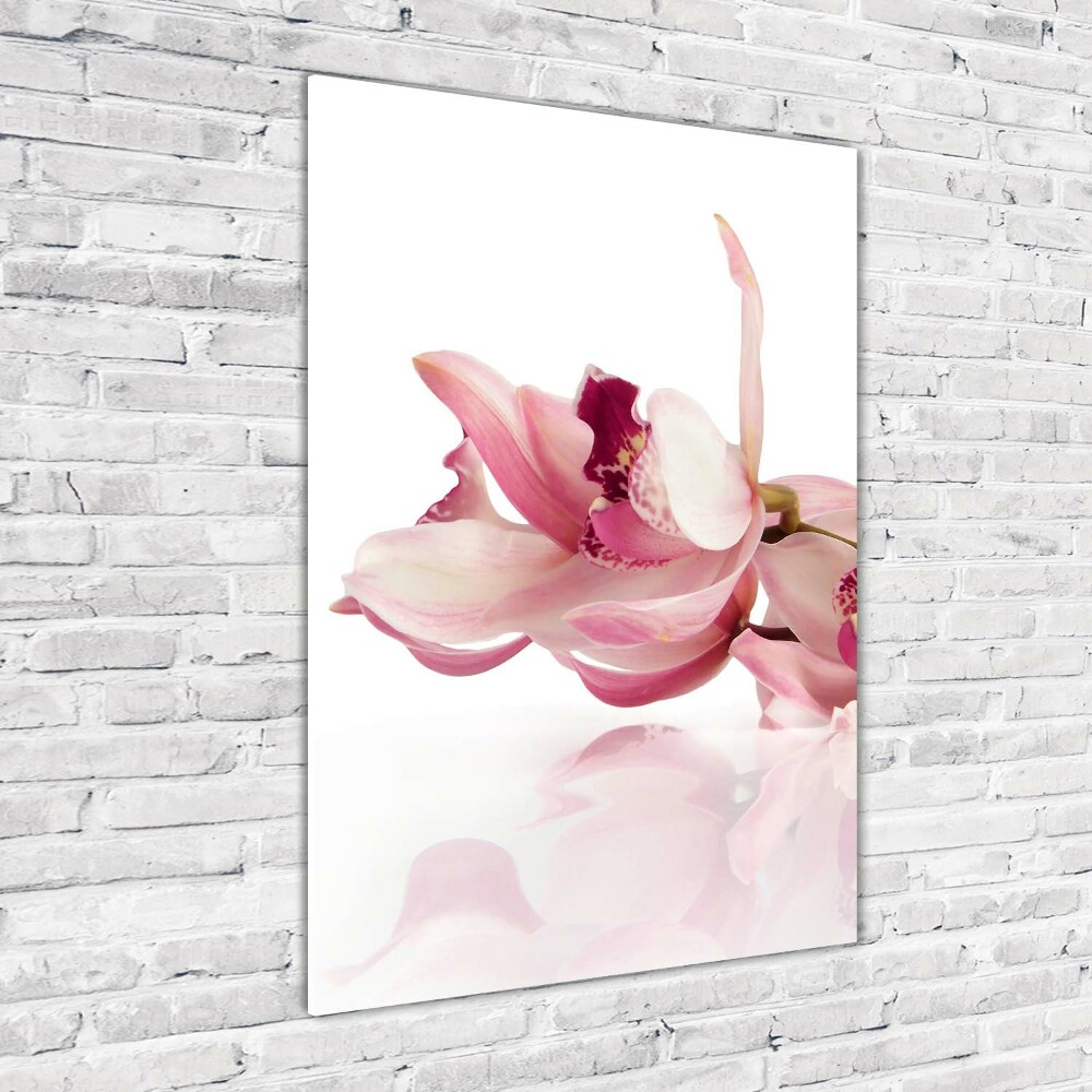 Print on acrylic Pink orchid