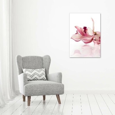 Print on acrylic Pink orchid