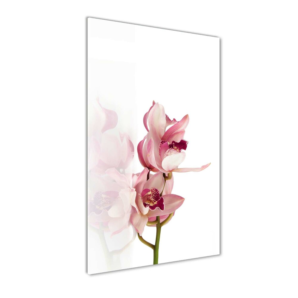 Print on acrylic Pink orchid